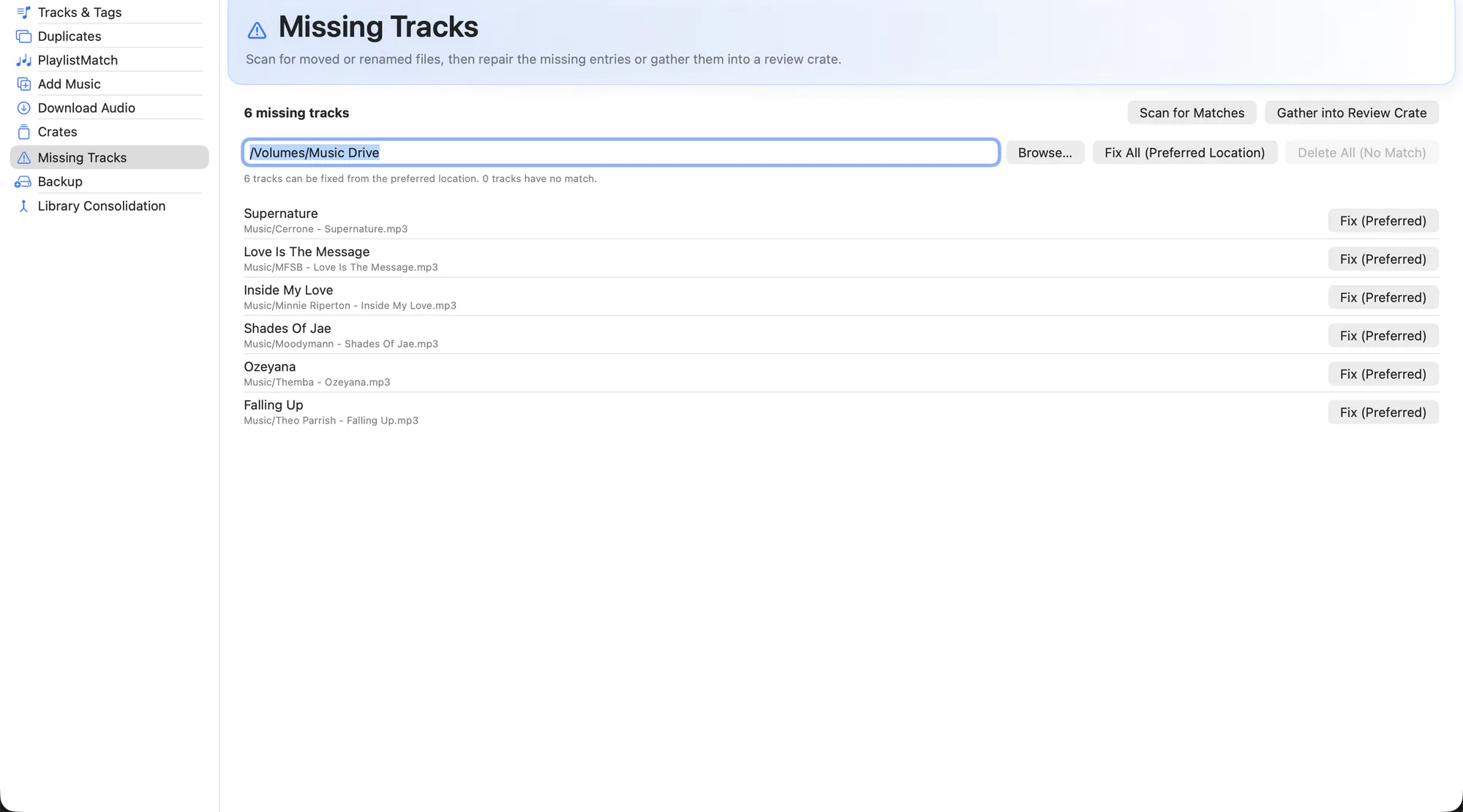 Missing Tracks workspace listing unresolved file references and suggested replacements.